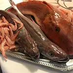 Nata 公寓 *
