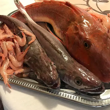 Nata 아파트 *